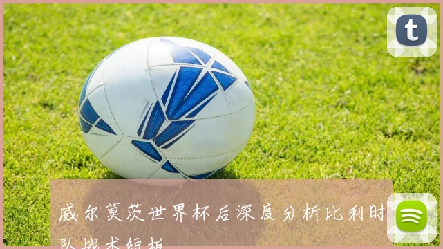 威尔莫茨世界杯后深度分析比利时队战术短板