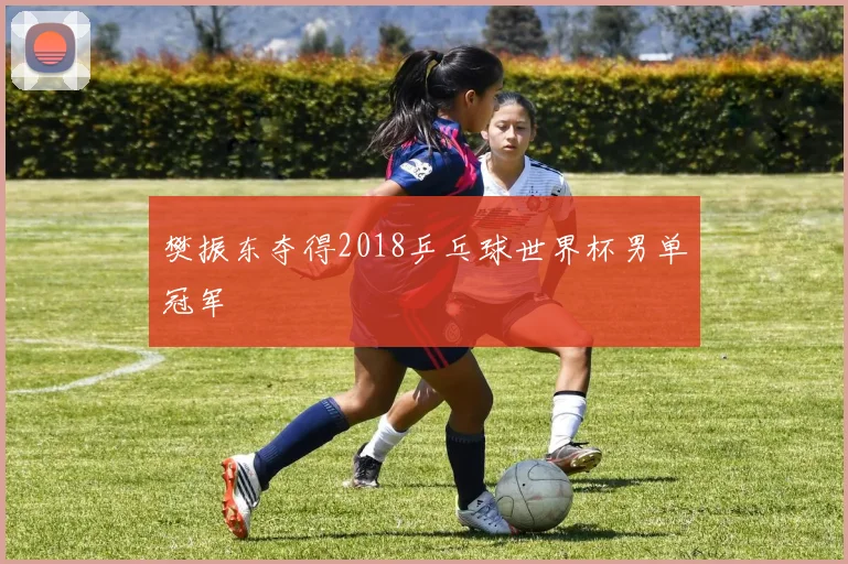 樊振东夺得2018乒乓球世界杯男单冠军